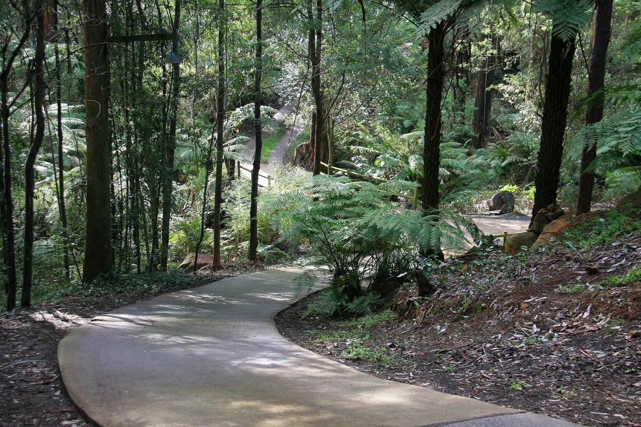 The Fernglen Forest Retreat Mount Dandenong Exterior foto