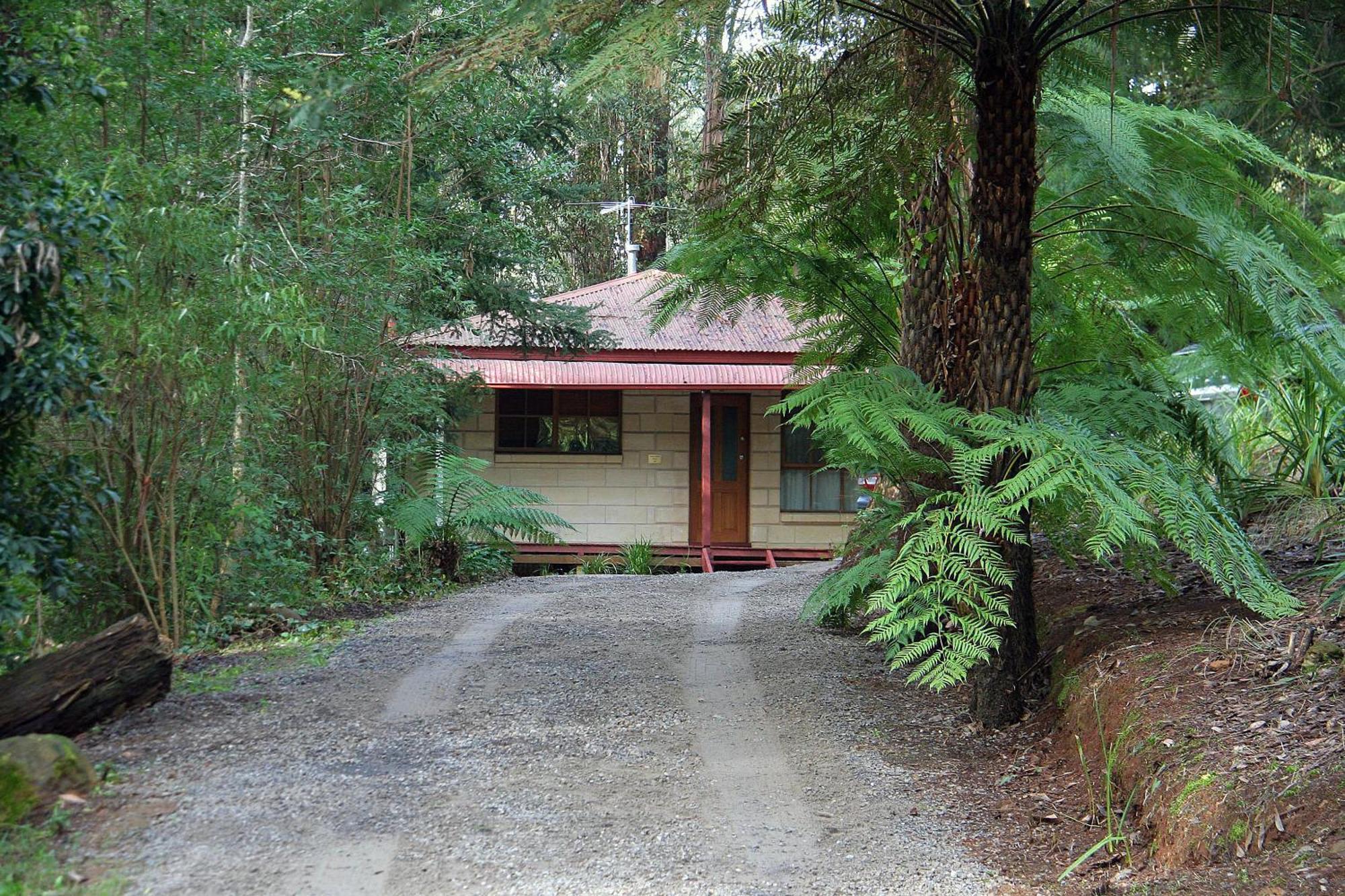 The Fernglen Forest Retreat Mount Dandenong Exterior foto
