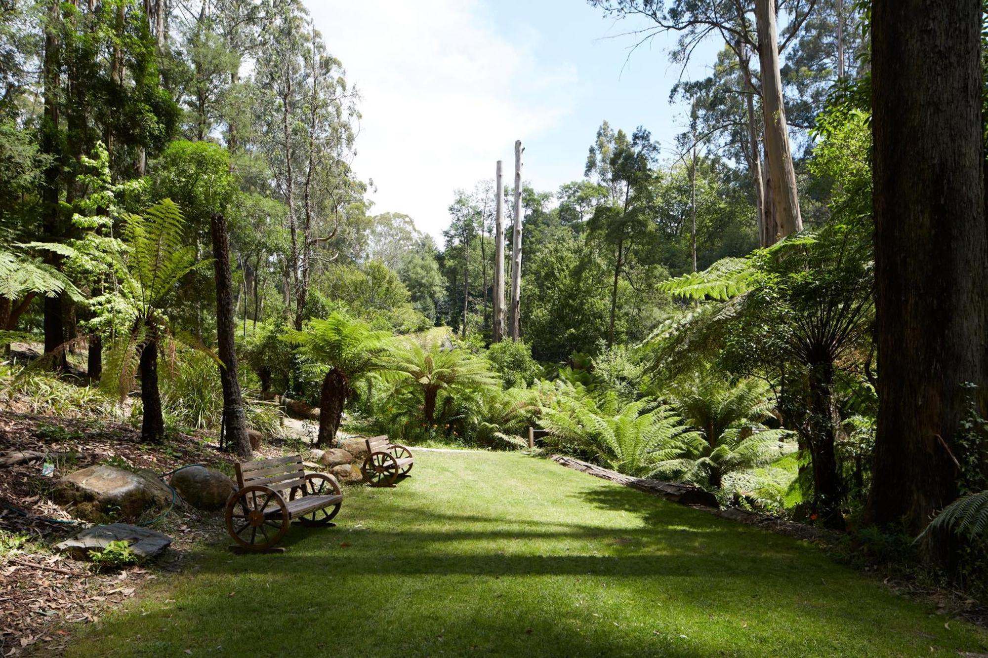 The Fernglen Forest Retreat Mount Dandenong Exterior foto