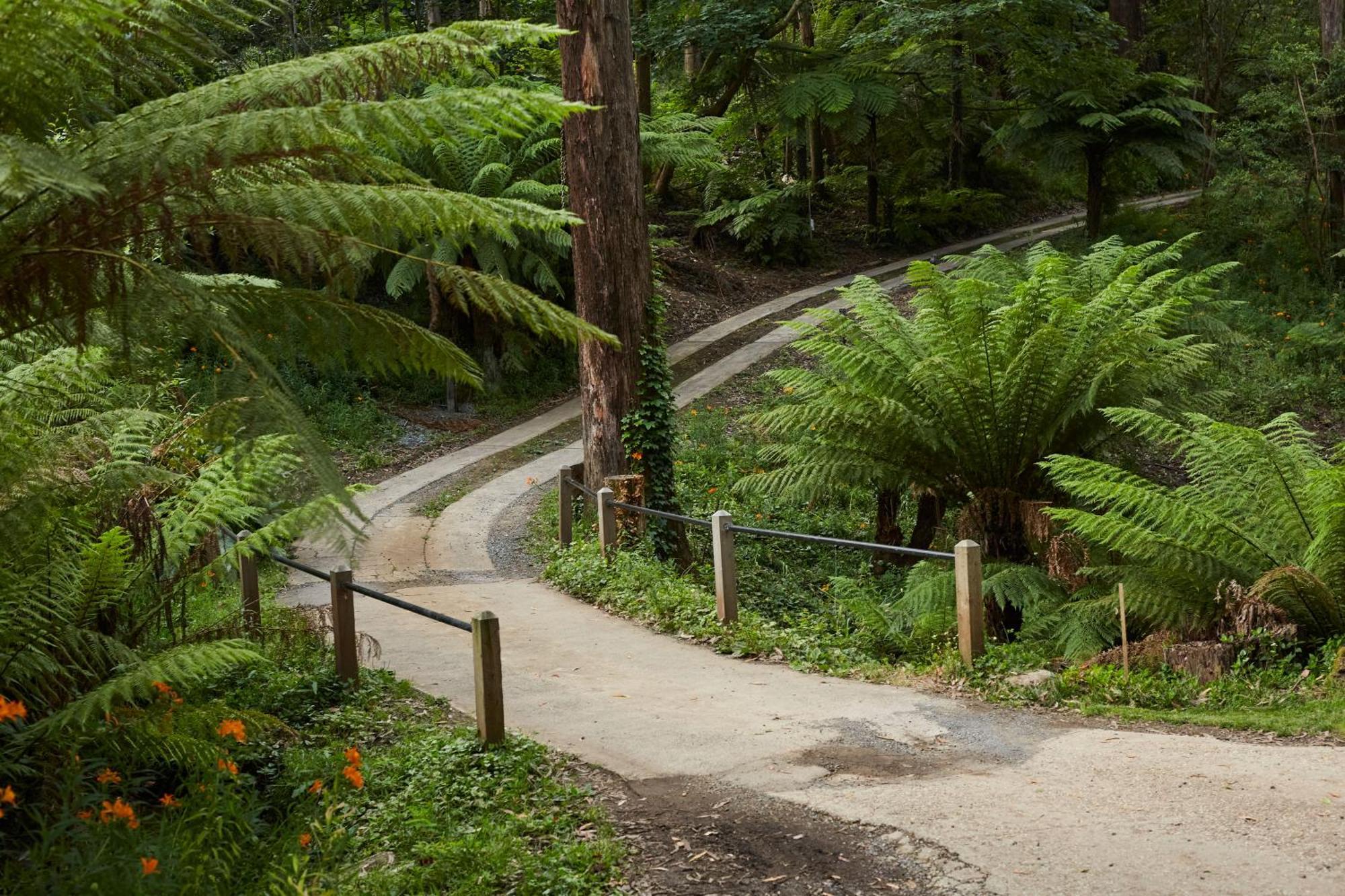 The Fernglen Forest Retreat Mount Dandenong Exterior foto